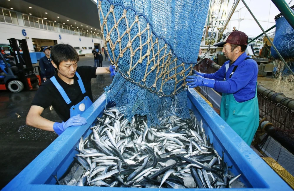 Komunitas Nelayan Jepang Andalkan Wisata Laut untuk Tambah Pendapatan